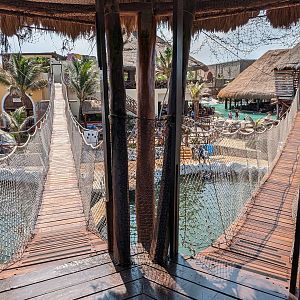 Aviarius - Costa Maya - bridges