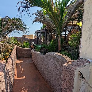 Aviarius - Costa Maya - entrance to sun conure/parakeet