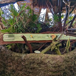 Aviarius - Costa Maya - sun conure/parakeet sign