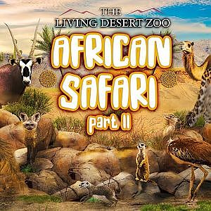 African Safari Part II | Zoo Tours