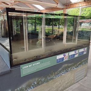 Indoor area - Tidal Aquarium