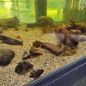 Indoor area - Sea Aquarium