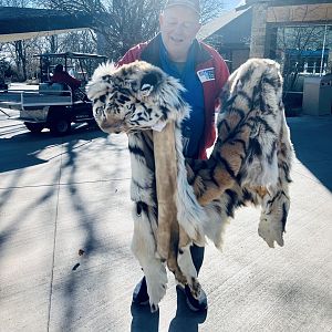 Zoo Volunteer with Tiger Pelt