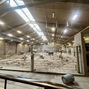 African Elephant House