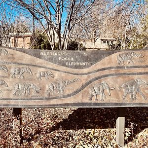 Stele depicting extinct Elephant like animals of Nebraska