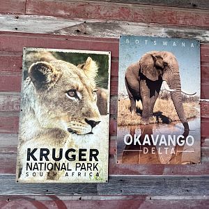 Vintage Travel Posters