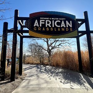 African Grasslands Exhibit Complex