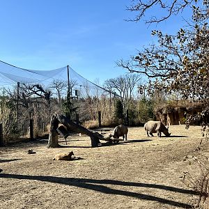 Greater One-horned Rhinoceros and Pere David’s Deer Exhibit