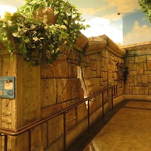 Entrance Corridor to Crocodile