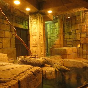 Mixed Reptile/Fish Enclosure