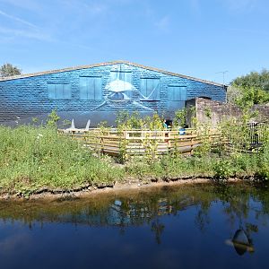 The old 1969 orangutan house and island