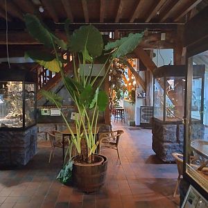 Overall view at de oliemeulen