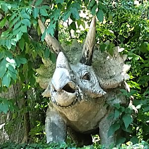 Triceratops