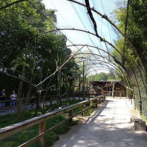 Walk through aviary for parakeets