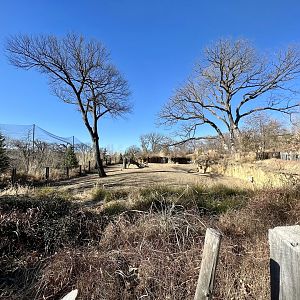 Pere David’s Deer and Greater One-horned Rhinoceros Exhibits