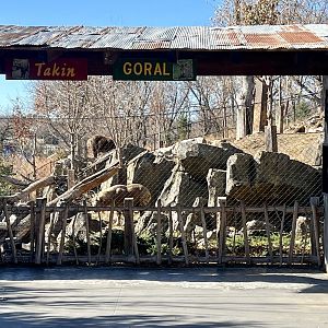 Takin and Goral Exhibit