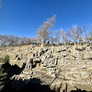 Takin and Goral Exhibit