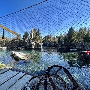 Above Water Viewing Area