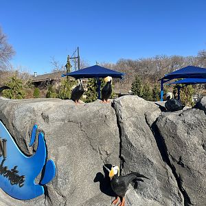 Alaska Theming
