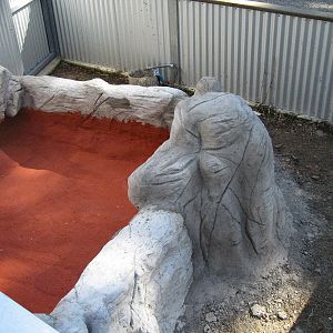 Merten's Water Monitor exhibit under construction