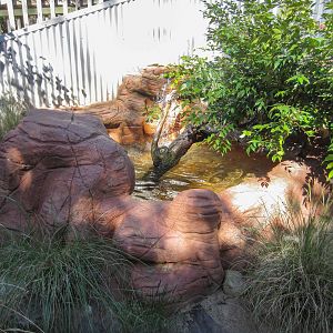 Merten's Water Monitor exhibit