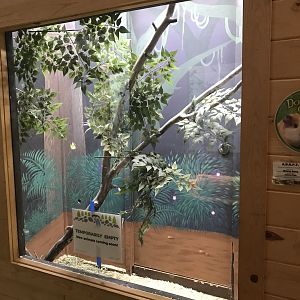 Griggs Learning Center - Former Guinea Pig Exhibit