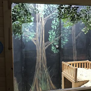 Griggs Learning Center - Domestic Rabbit Exhibit