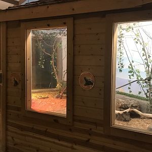 Griggs Learning Center - Northern Bobwhite Quail/Eastern Box Turtle Exhibit