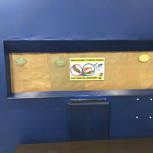 Zoo Center - Future Hellbender Exhibit