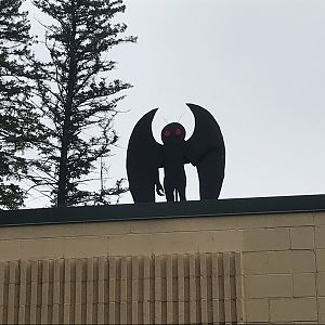 Moth-Man on top of Nocturnal House