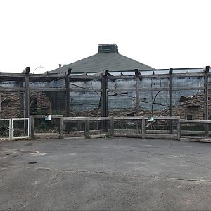 Ring-Tailed Lemur + Swift Fox Exhibits