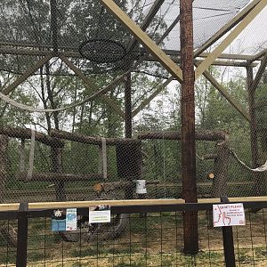 Asian Caravan - New Red Panda Exhibit