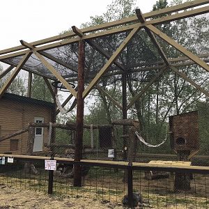 Asian Caravan - New Red Panda Exhibit
