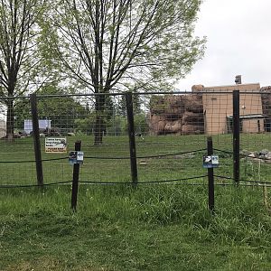 Asian Caravan - Central Chinese Goral/White-Naped Crane Exhibit