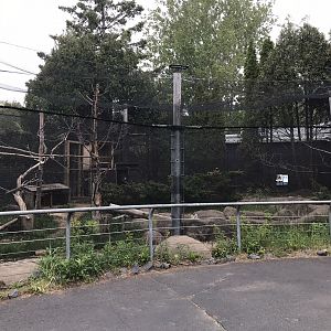 Bear Country - North American Porcupine Exhibit