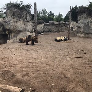 Bear Country - Alaskan Brown Bear Exhibit