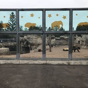 Bear Country - Alaskan Brown Bear Exhibit