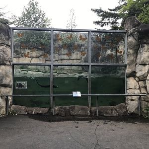 Bear Country North American River Otter Exhibit