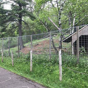 Bear Country - Former Pere David’s Deer Exhibit