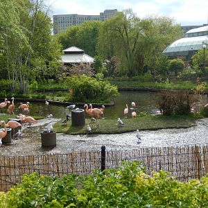 5/13/2023 - Waterfowl Lagoon