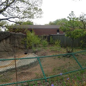 5/13/2023 - Chacoan Peccary Exhibit