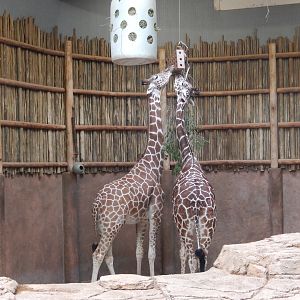 5/13/2023 - Sharing is Caring