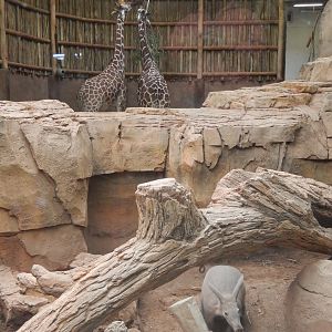 5/13/2023 - An Awesome Panorama!