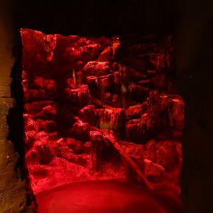 5/13/2023 - Madagascar Hissing Cockroach Cave