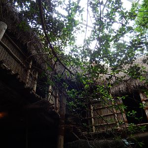 5/13/2023 - Researcher's Cabin