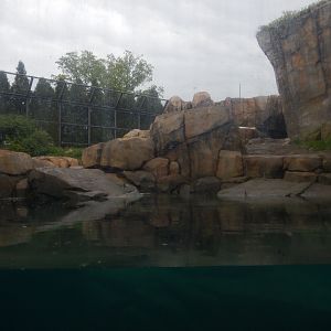 5/13/2023 - Arctic Tundra (Larger Habitat)