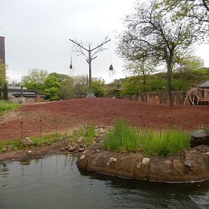 5/13/2023 - Giraffe & Plains Zebra Habitat