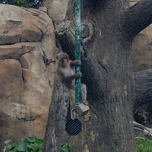 5/13/2023 - Getting in the Swing