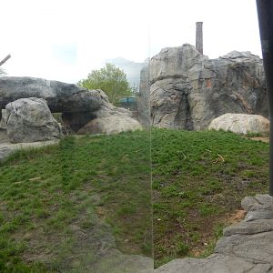 5/13/2023 - Lion Habitat