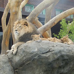 5/13/2023 - The King and Princes